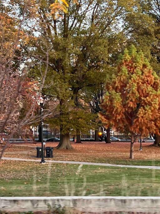 Cozy On The Hill Διαμέρισμα Wilmington Εξωτερικό φωτογραφία
